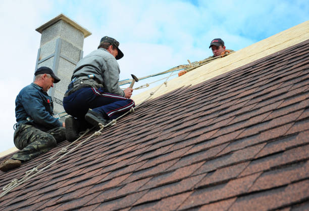 Best Residential Roof Replacement  in Mathis, TX